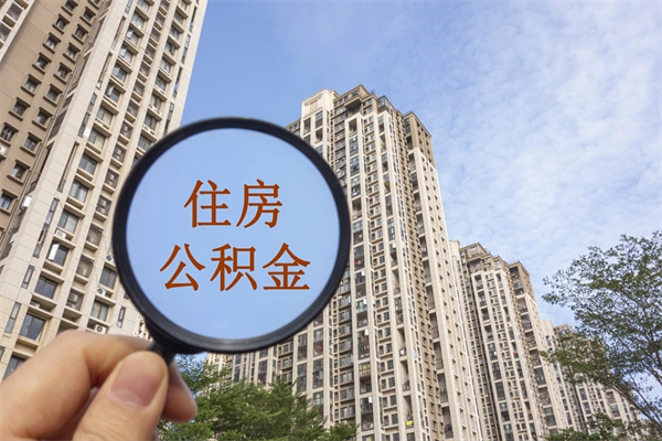 漯河辞职可以取住房公积金吗（我辞职了可以提取住房公积金吗）